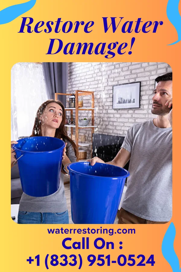 water restoration Ideal Water Cleanup & Associates Zena