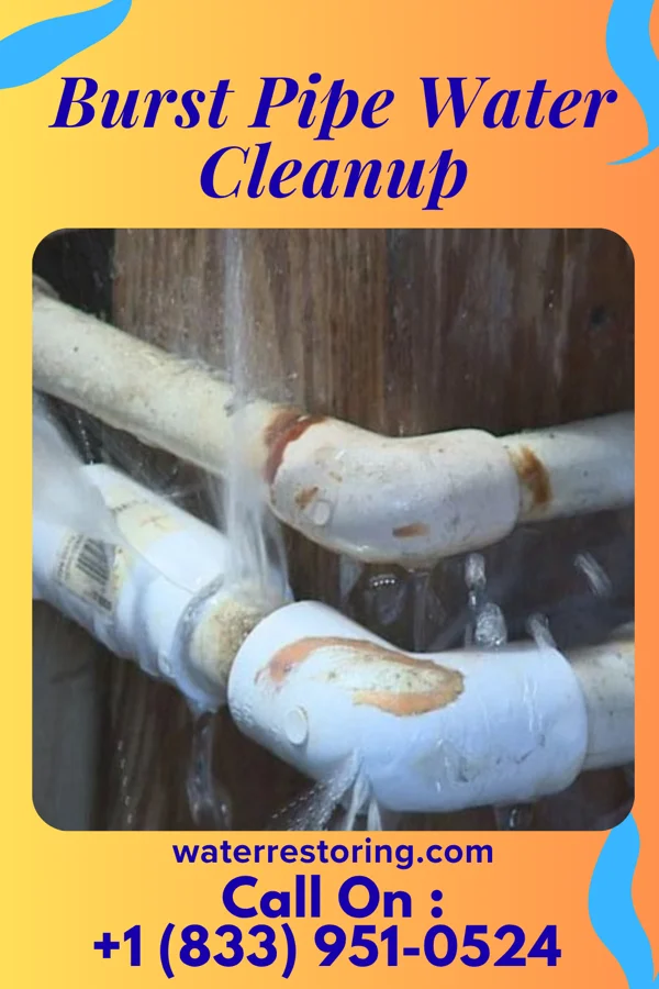 Burst Pipe Water Cleanup in Zena, NY