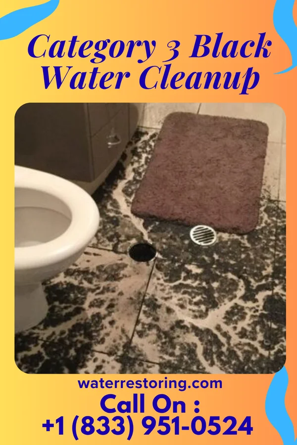 Category 3 Black Water Cleanup in Zena, NY