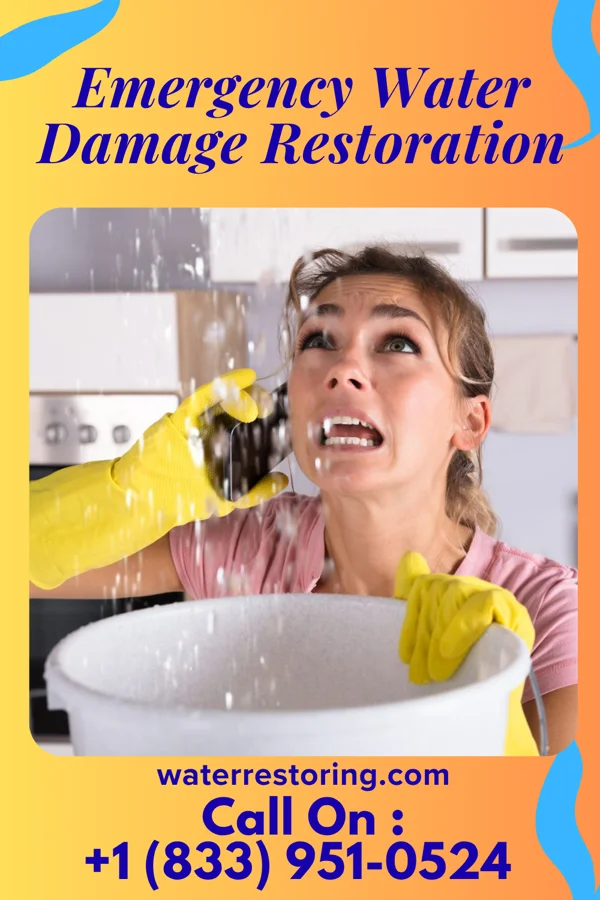 Emergency Water Damage Restoration in Zena, NY