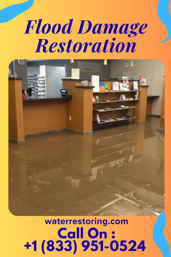 Flood Damage Restoration in Zena, NY