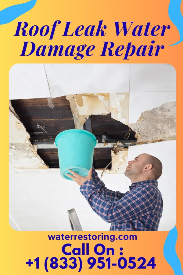 Roof Leak Water Damage Repair in Zena, NY