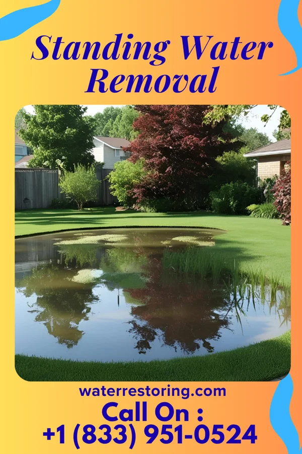 Standing Water Removal in Zena, NY